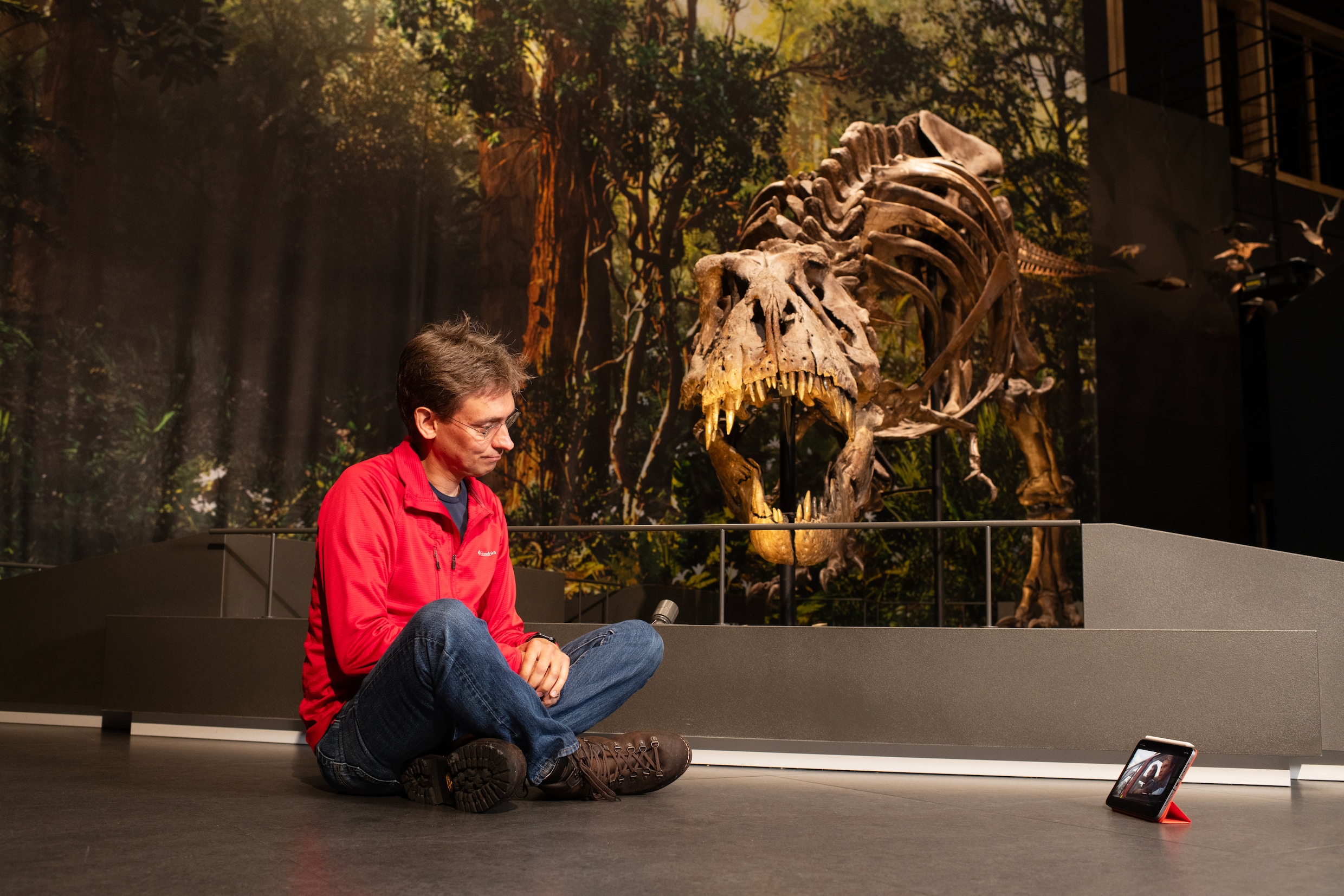 Bontgekleurde Dinos En Verstuikte T Rex Poten Vier Inzichten Uit 30