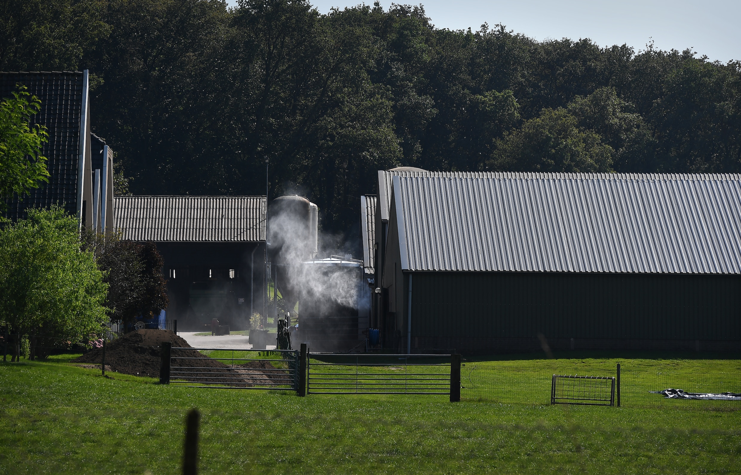 Een melkveebedrijf in Doorwerth, bij het Natura 2000-gebied de Veluwe.