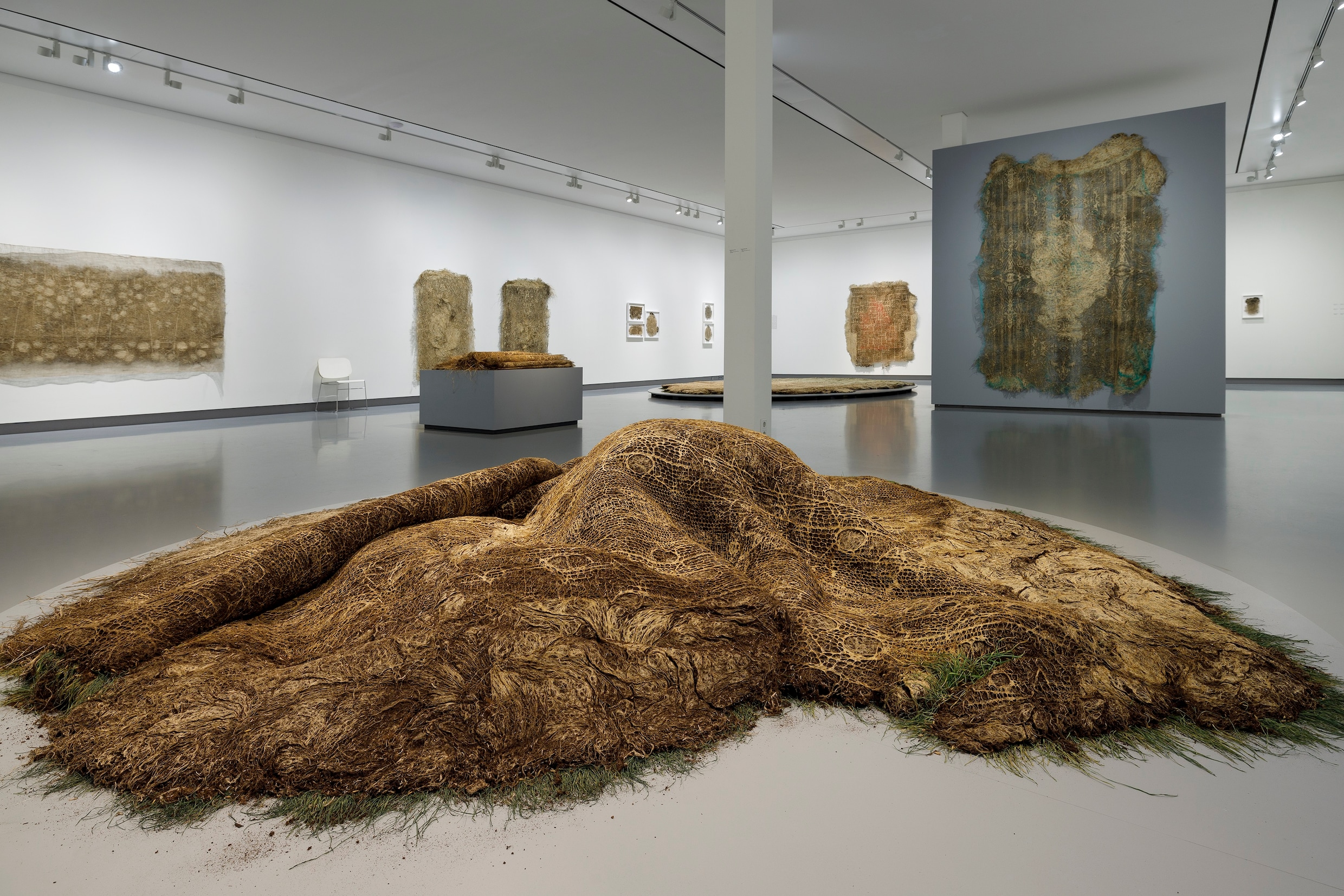 tentoonstelling januari 2023