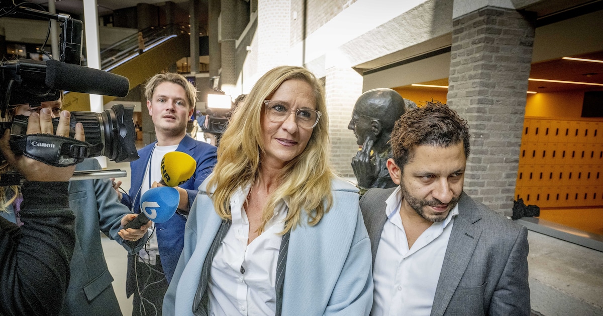 Van poffertjesbakker tot columnist en oorlogsheld dit zijn de opvallendste nieuwe Kamerleden