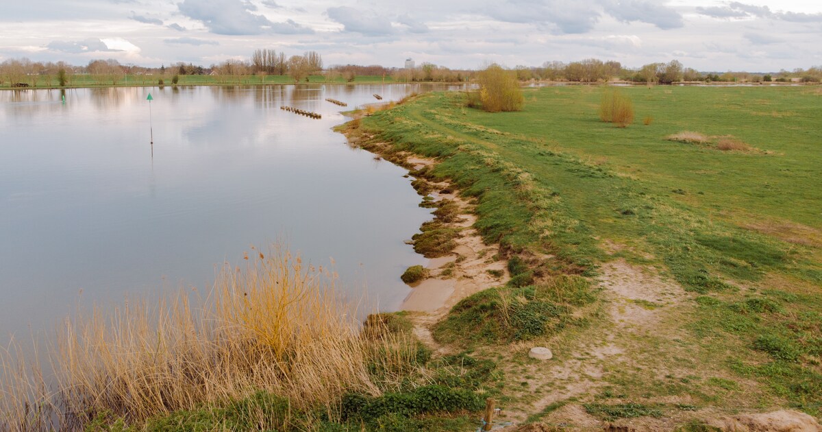 Licht kronkelende stroomrug door het grasland; de kronkelwaard