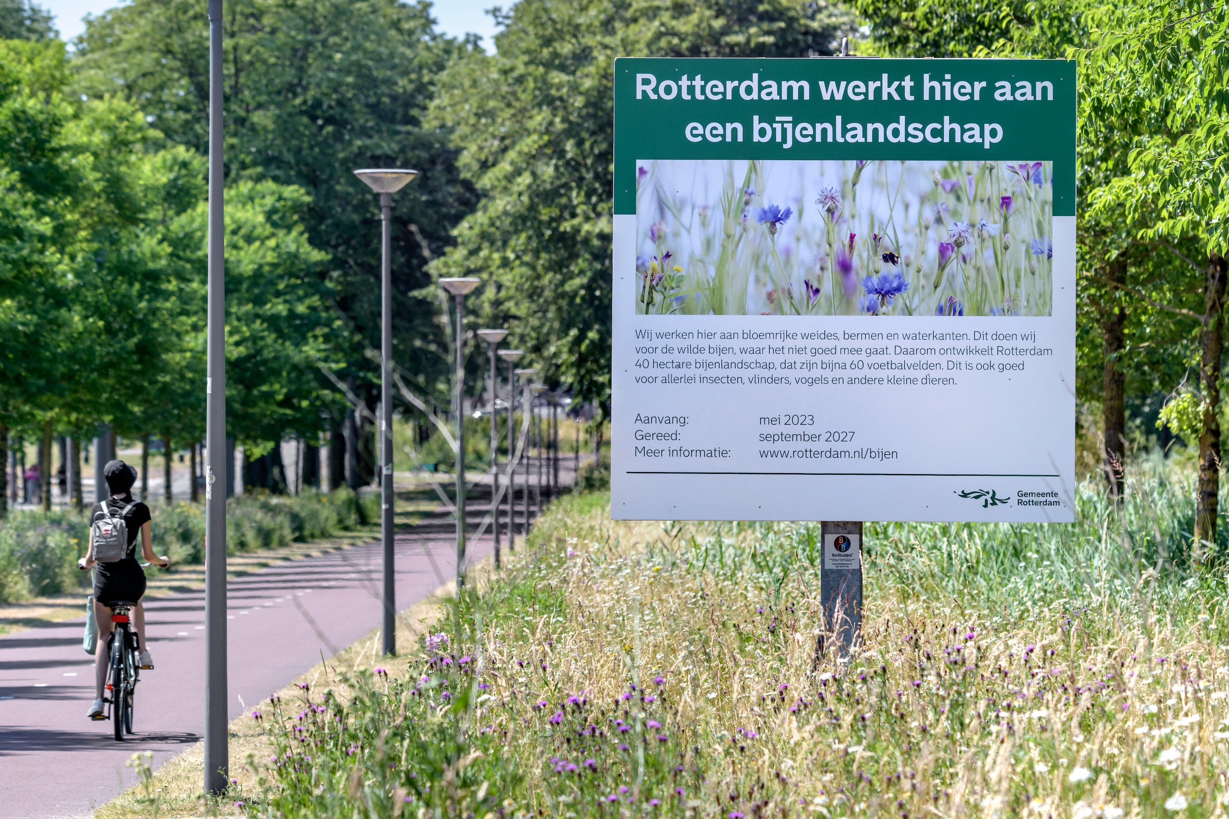 Bijen hebben het zwaar wat kun je doen om ze een handje te helpen? de Volkskrant