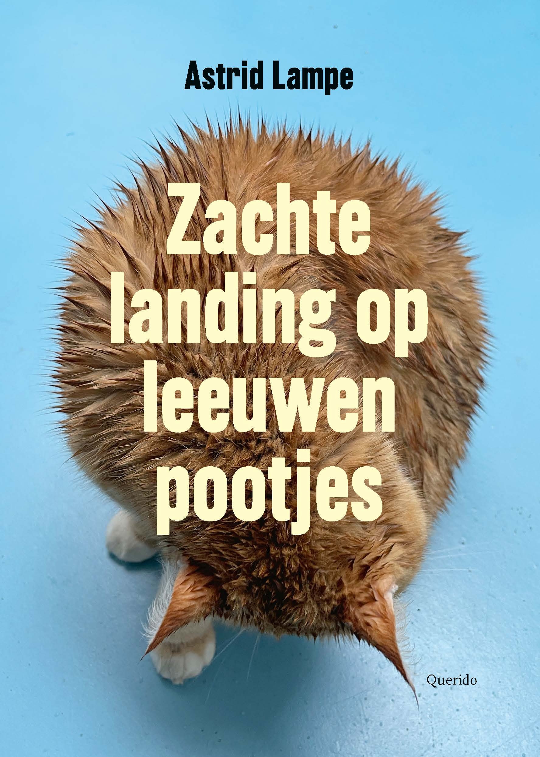 Recensie: De Nieuwe Bundel Van P.C. Hooft-prijs-winnaar Astrid Lampe Is ...