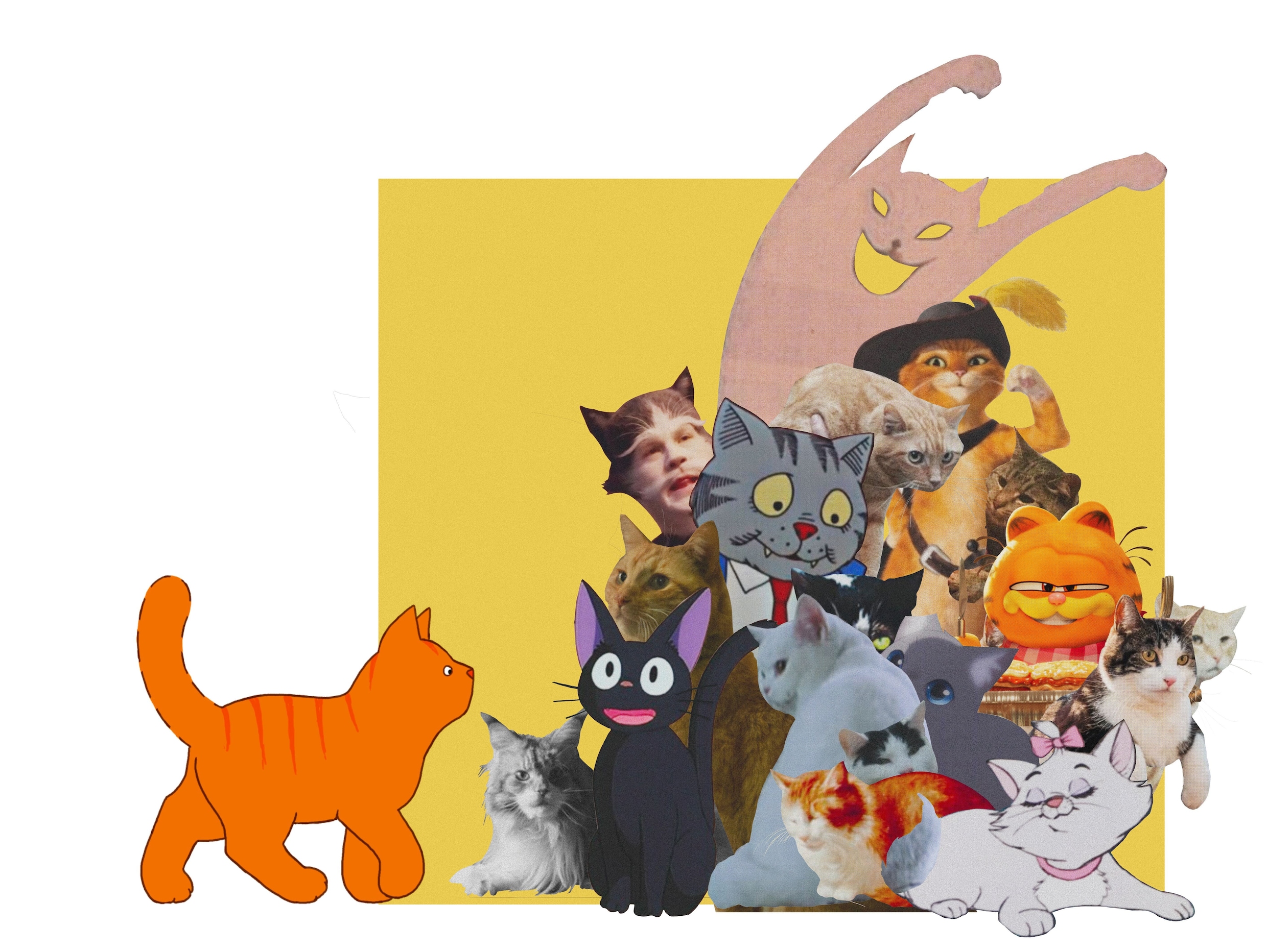 Van koddige rode katers tot vileine perzen: films worden hoe dan ook ...