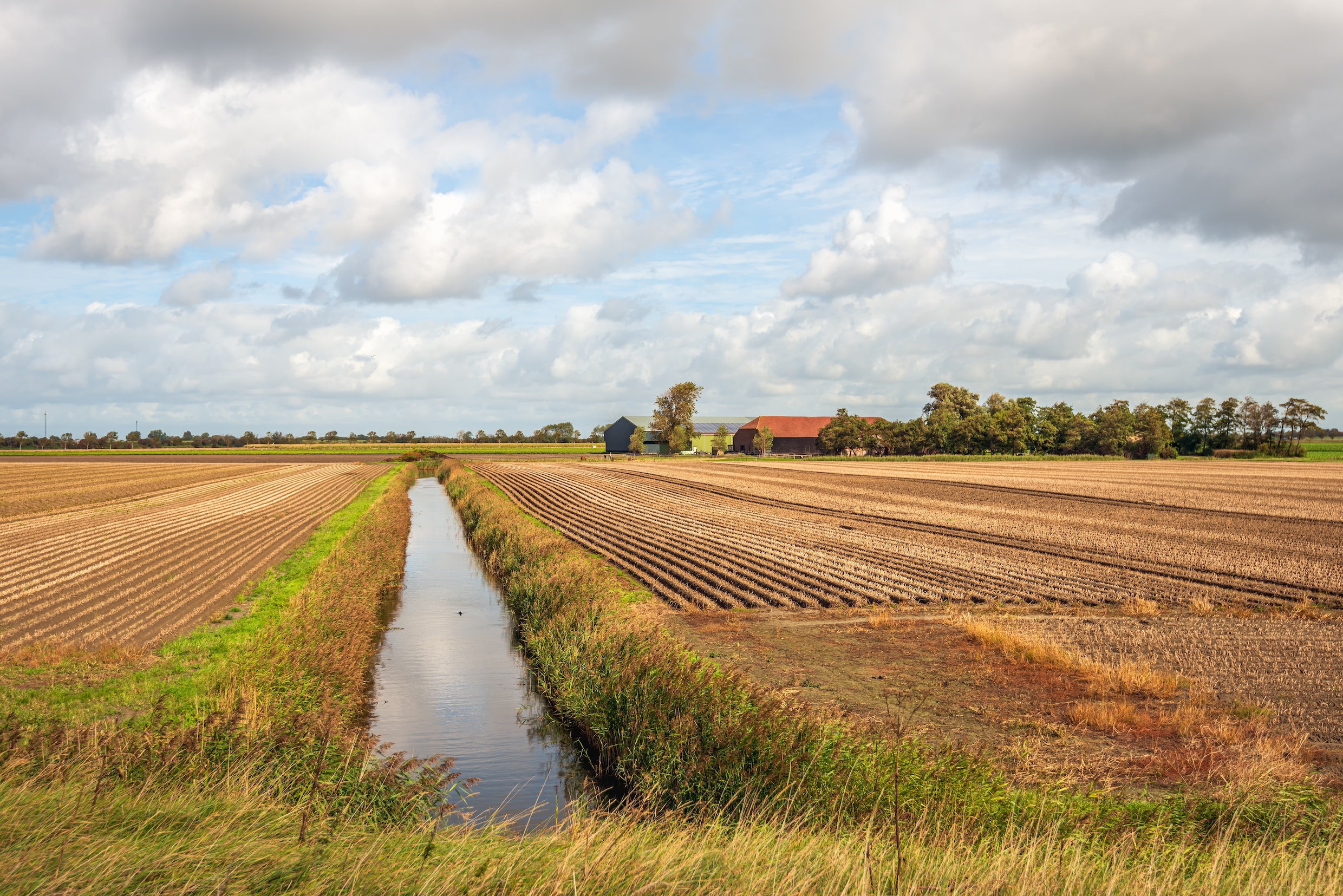 Het Weer In Zonnemaire Zeeland mooi? In ­werkelijkheid is het droevig gesteld met ‘Gods akkers