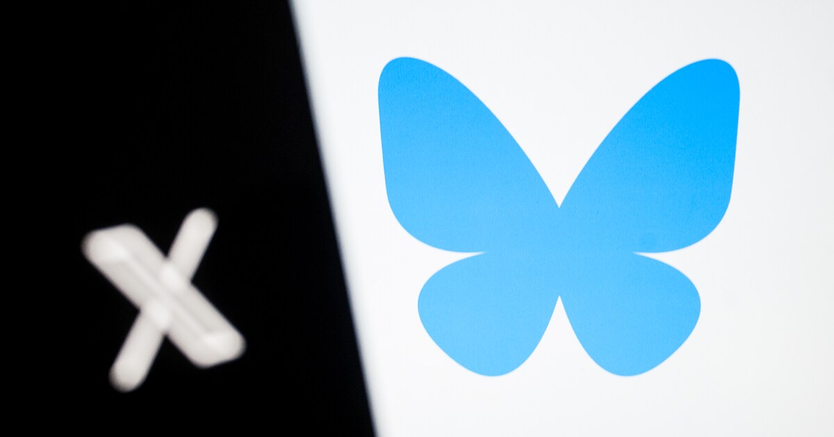 Privacy-experts kritisch over te open karakter van Bluesky | de Volkskrant