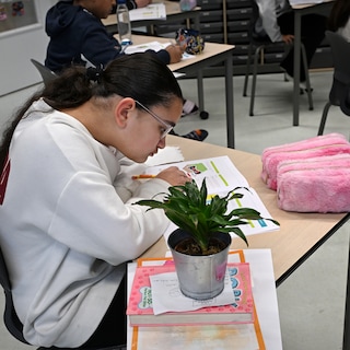 Dutch Ministry of Education adopts single transition test for 8th graders