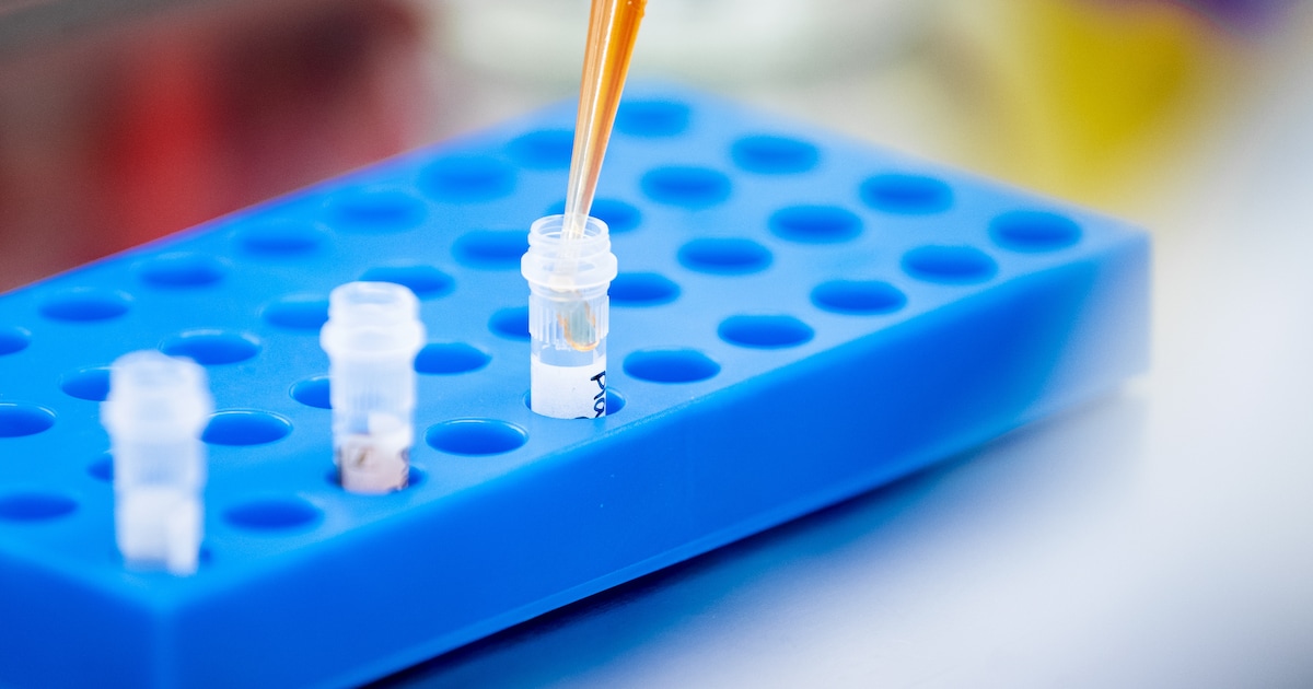 Medewerkers Zuid-Hollandse maaltijdleverancier besmet met tuberculose-bacterie
