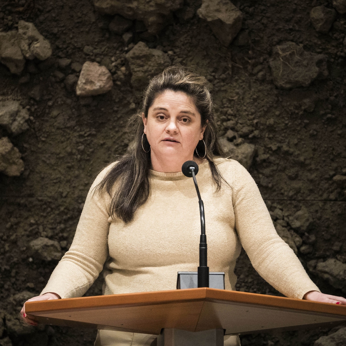 Strengere wetten nodig tegen computercriminaliteit, vindt burgemeester Femke  Halsema | de Volkskrant