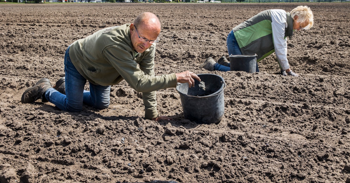 In Dongen regent het glasdeeltjes: ‘We zijn nog weken aan het rapen’