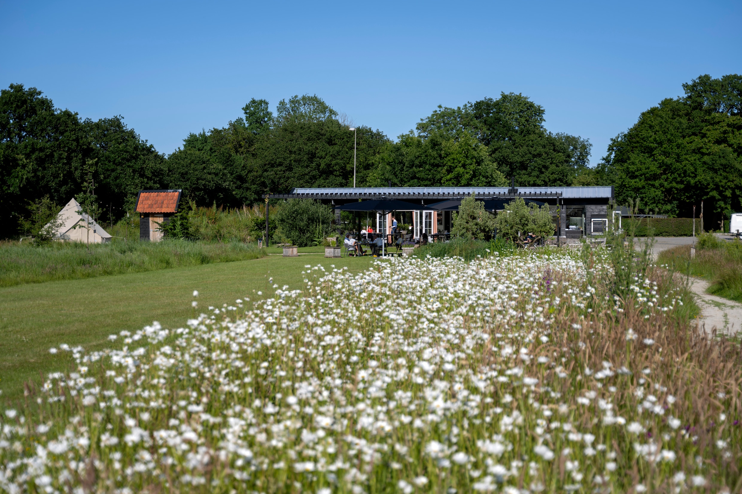 Bij restaurant Mearkas komen vegetariërs er bekaaid vanaf | de Volkskrant