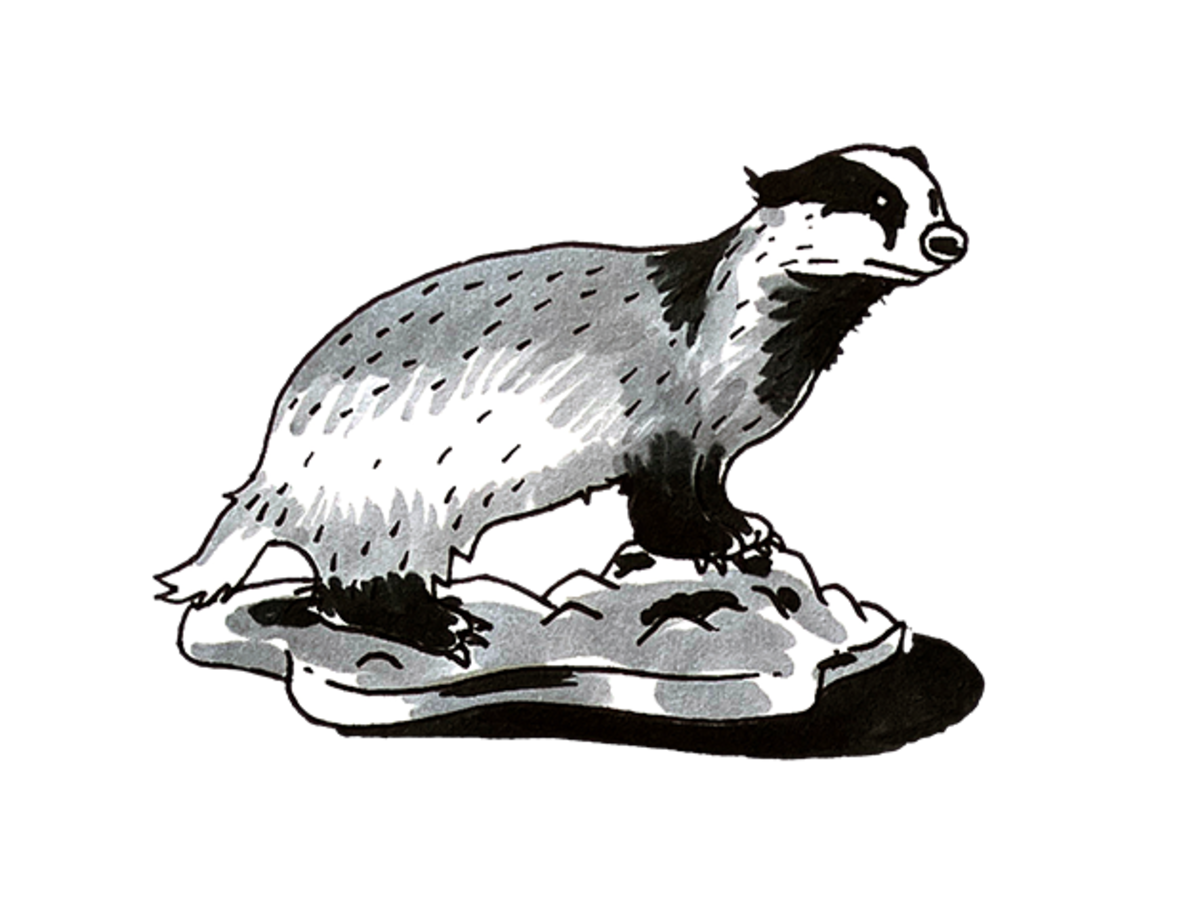 Preppen? Hamsteren? Wie schuilt voor de boze buitenwereld raakt juist méér  in de ban van de angst | de Volkskrant