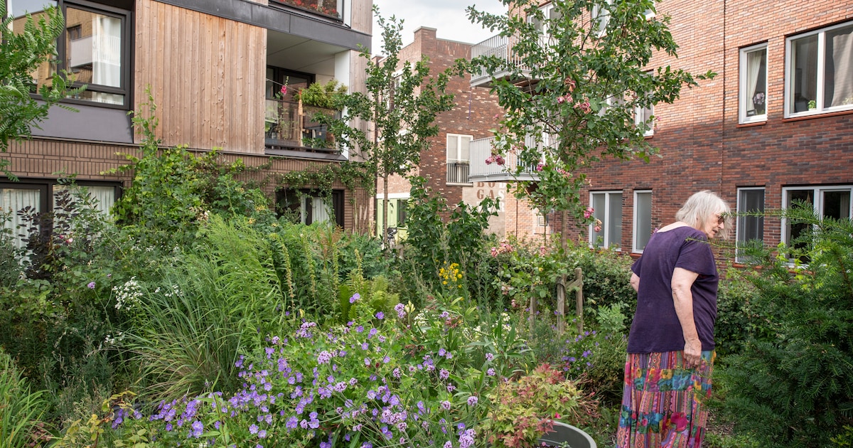Lezersreacties: 'Help ouderen hun woondroom realiseren in plaats van hun initiatieven af te branden'