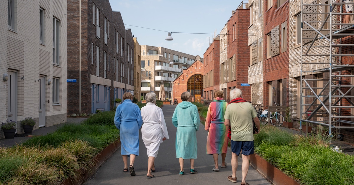Een slimme senior bouwt op tijd zijn eigen woonparadijs. 'Dit is onze eigen 'blue zone', midden in Groningen'