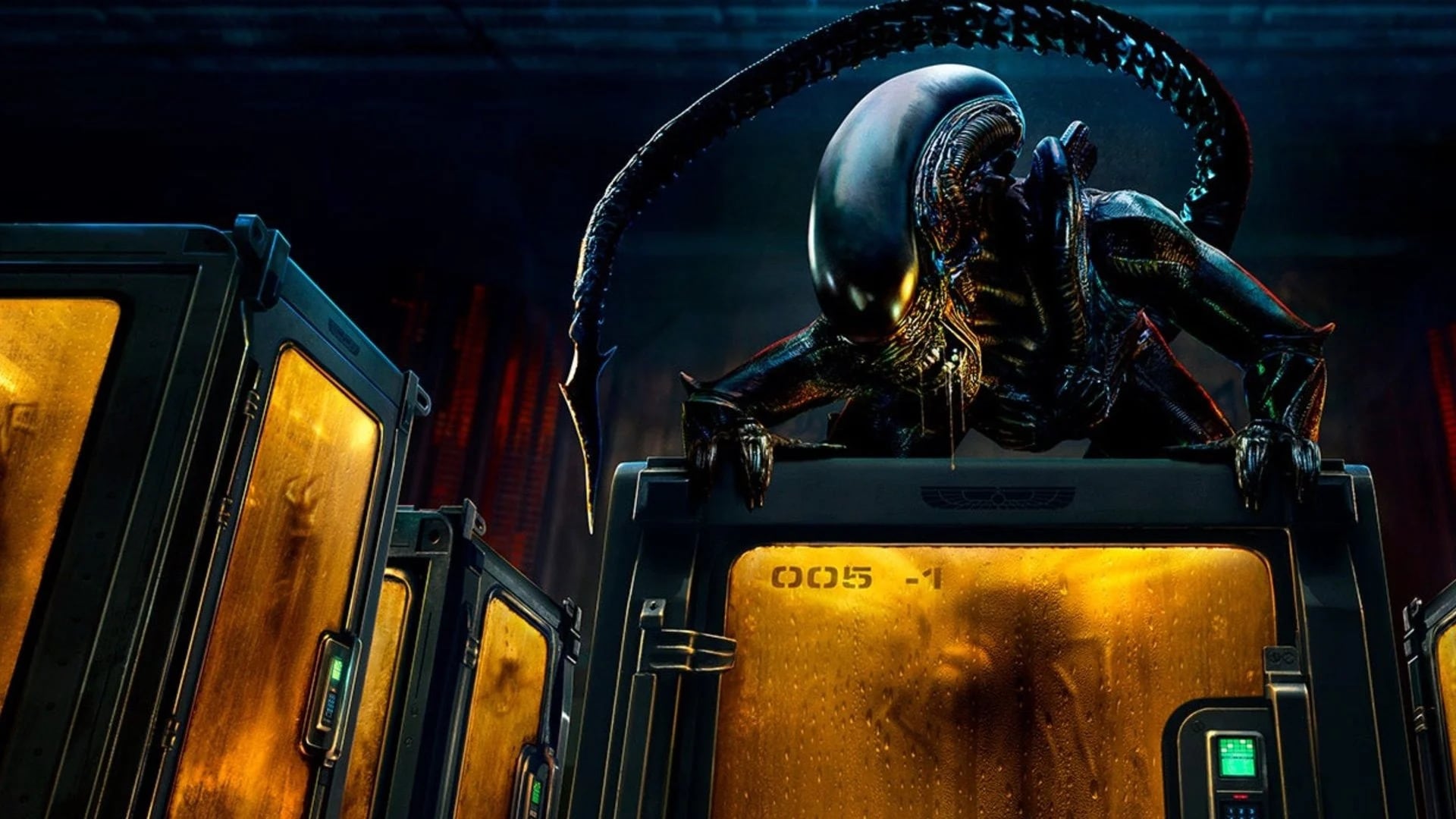 Mens versus monster: het veelkoppige succes van de ‘Alien’-reeks | de ...