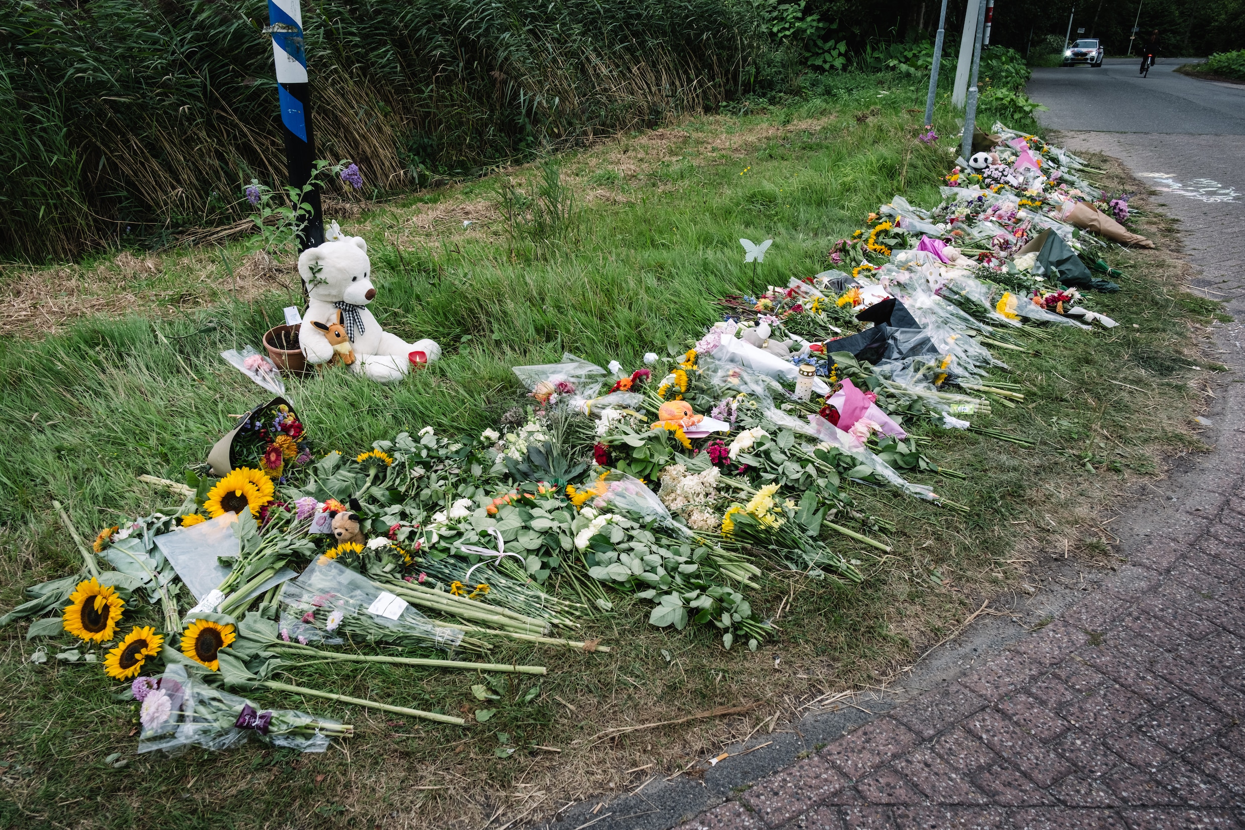 Verdachte zedendelict Weesperzijde ook verdacht van dood van 17-jarige Lisa  en eerdere poging tot verkrachting | de Volkskrant