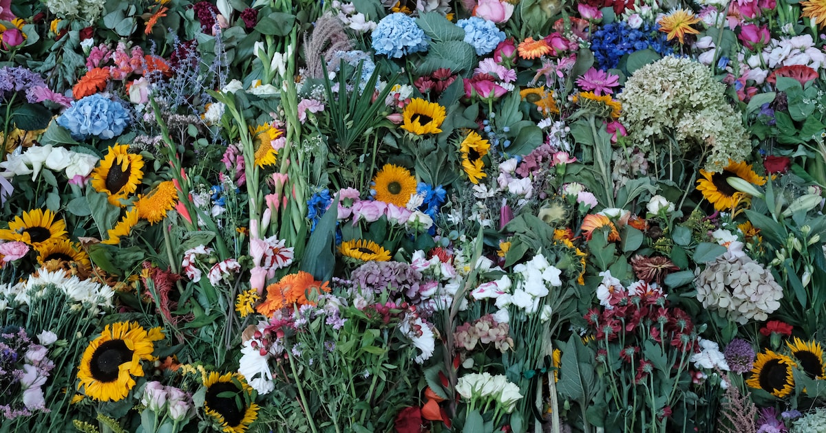 Identiteit verdachte moord Lisa nog niet duidelijk door ontbreken papieren, Nigeria om hulp gevraagd