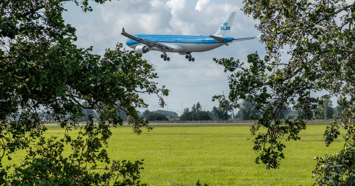 Raad van State veegt krimp­plan voor Schiphol van tafel: minister heeft besluit onvoldoende onderbou