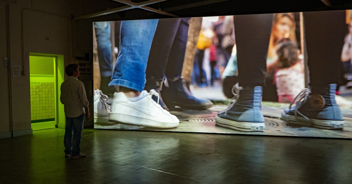 Gauw naar Maastricht, Amersfoort of Haarlem: dit zijn de beste nieuwe tentoonstellingen
