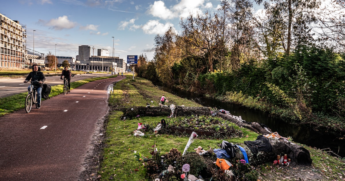 Meer zedenzaken gemeld in Amsterdam door nieuwe wet en grotere meldingsbereidheid