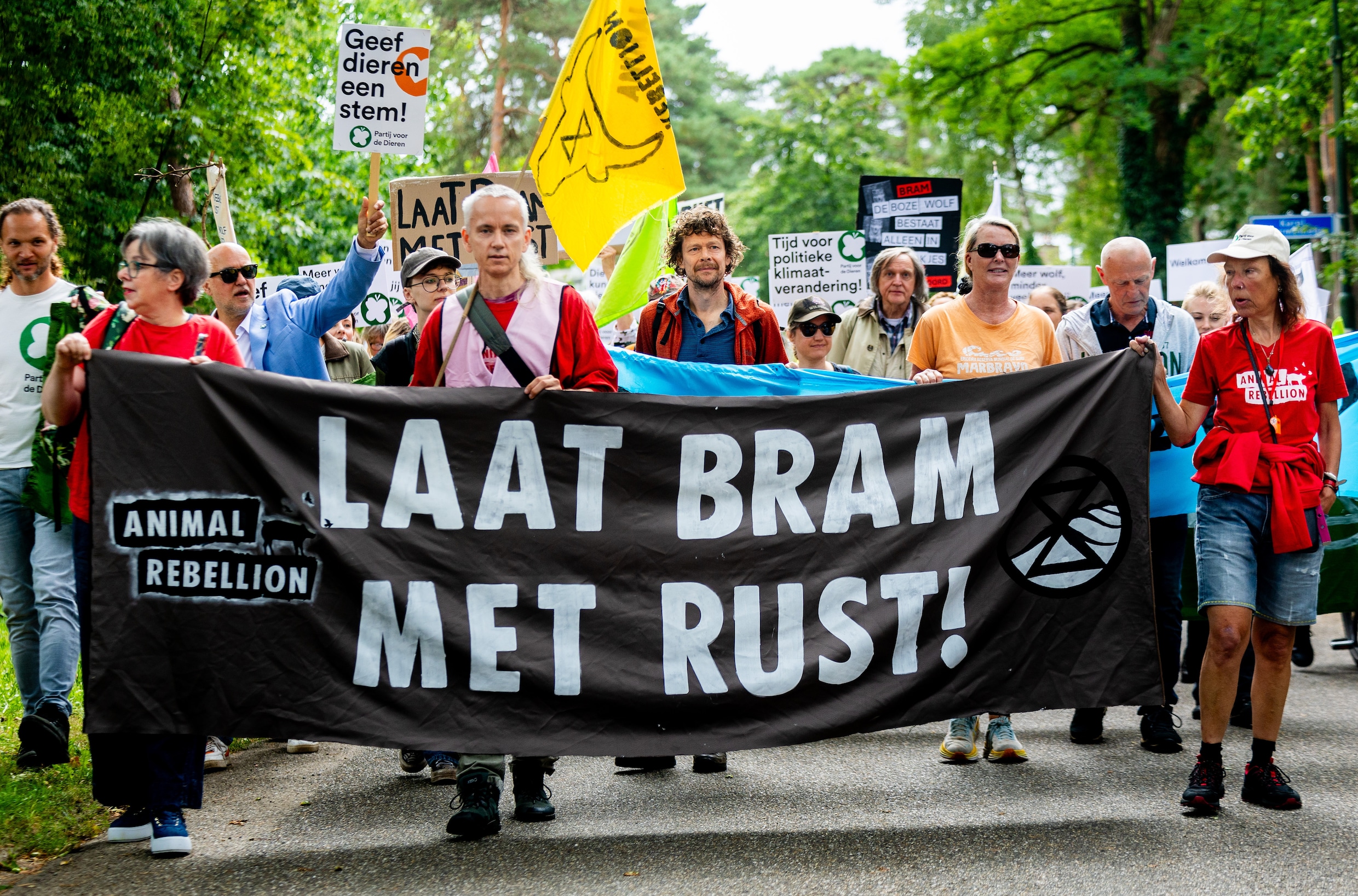 Wolf doodgeschoten op Utrechtse Heuvelrug, mogelijk is het ...