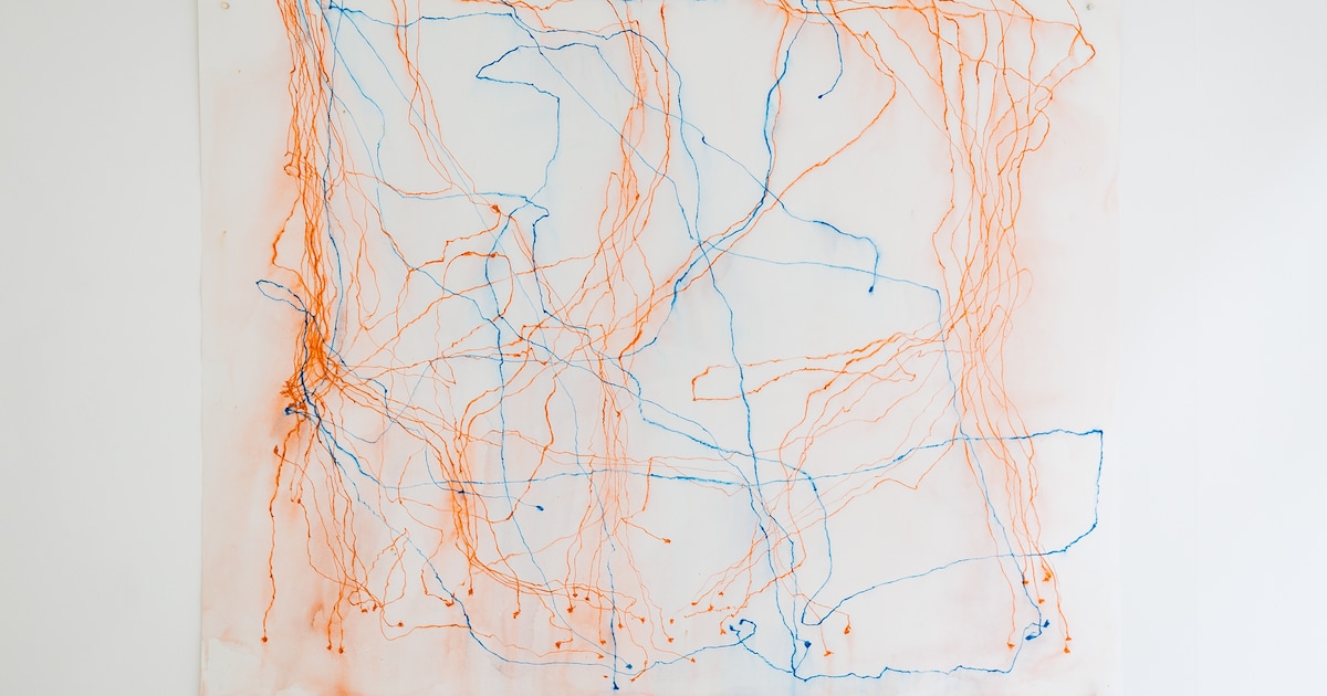 Wat doen koeien nou precies de hele dag? Dit Nederlandse kunstenaarsduo trok de weide in en zocht he