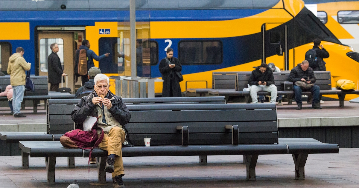 Geen treinverkeer tussen Rotterdam en Delft door brandstichting bij spoorbrug