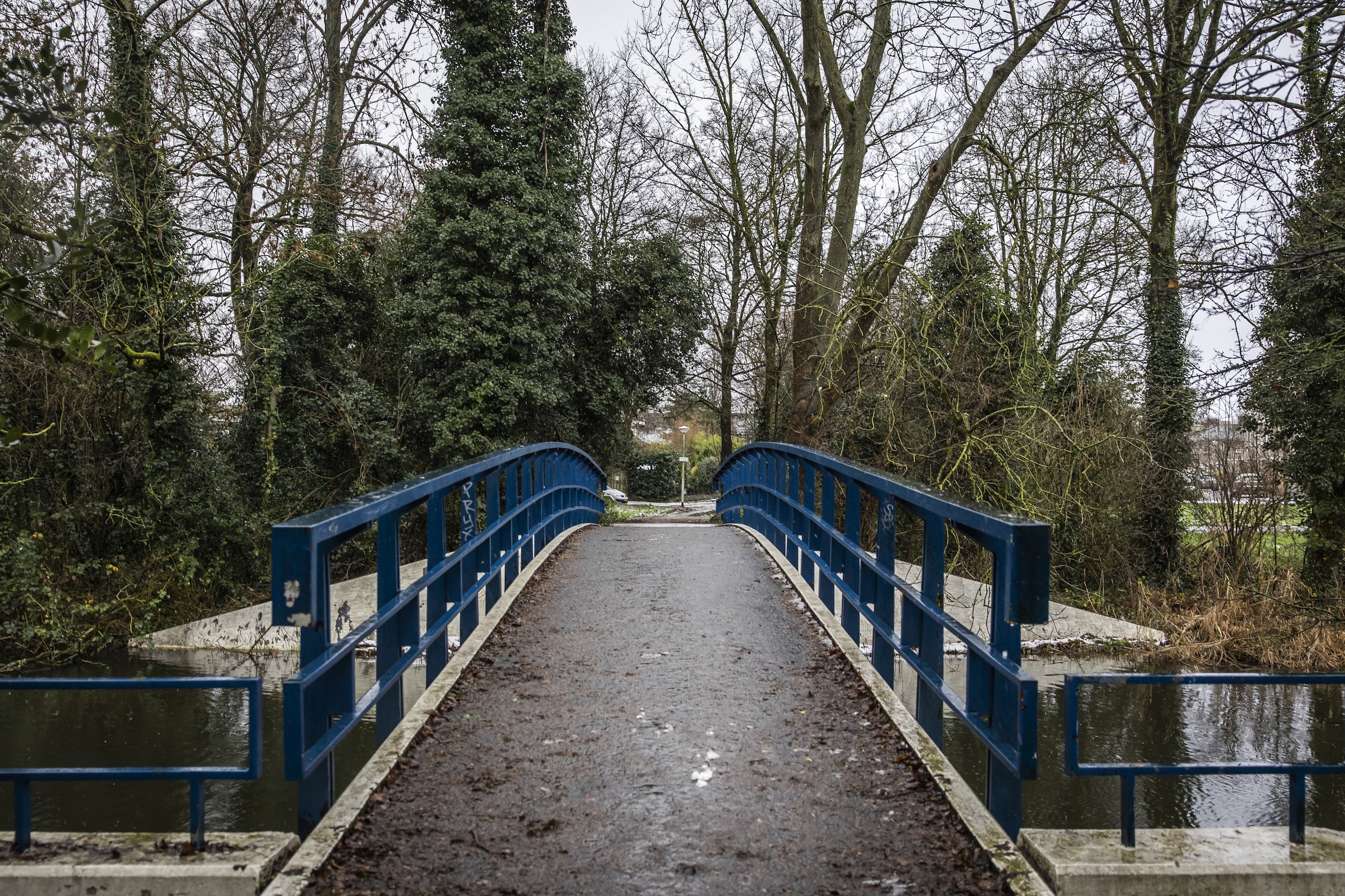 Amsterdam Park Murders: Suspect Silent as Investigation Continues