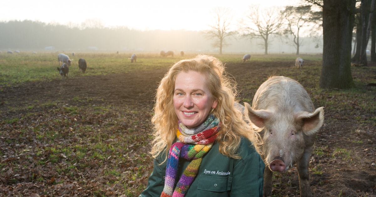 ‘Ik geloof niet in dat irritante, radicale activisme, waarbij je meteen op een vrachtwagen klimt’