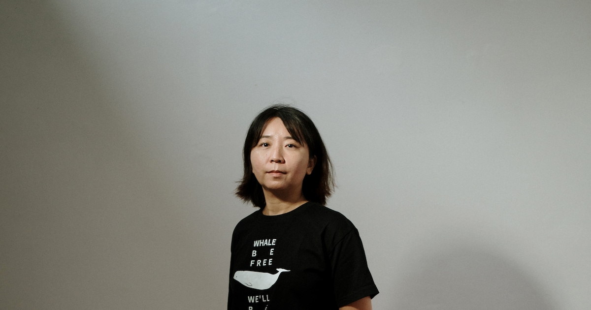 Onthullingen van een ex-dolfijnentrainer: ‘De beloega had genoeg redenen om mensen te haten, maar ze