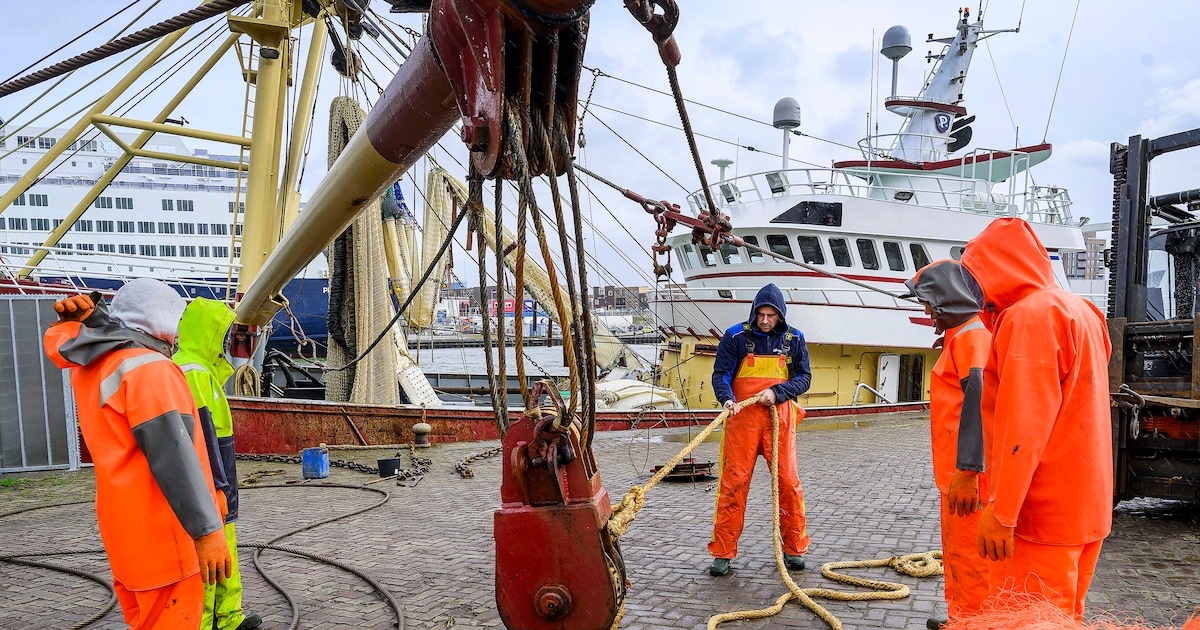 Hoge brandstofprijzen houden kotters in IJmuiden aan de kade: ‘Ik vaar al drie weken niet meer’