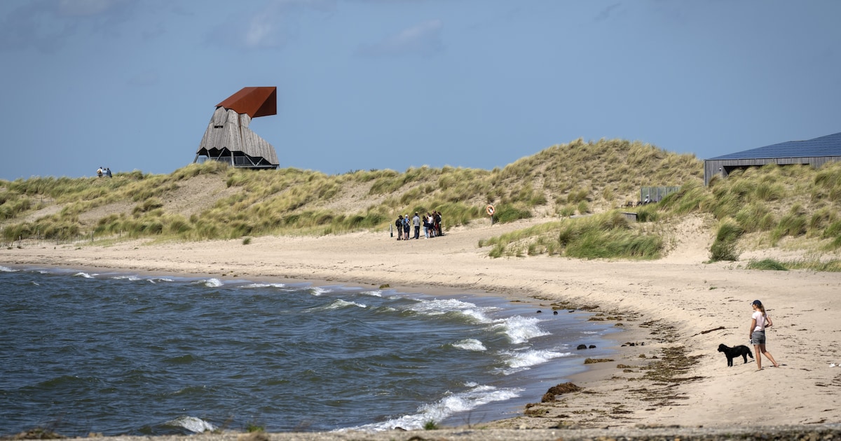 Opinie: Markermeer is geen ‘vrije ruimte’, maar een overwinteringsparadijs