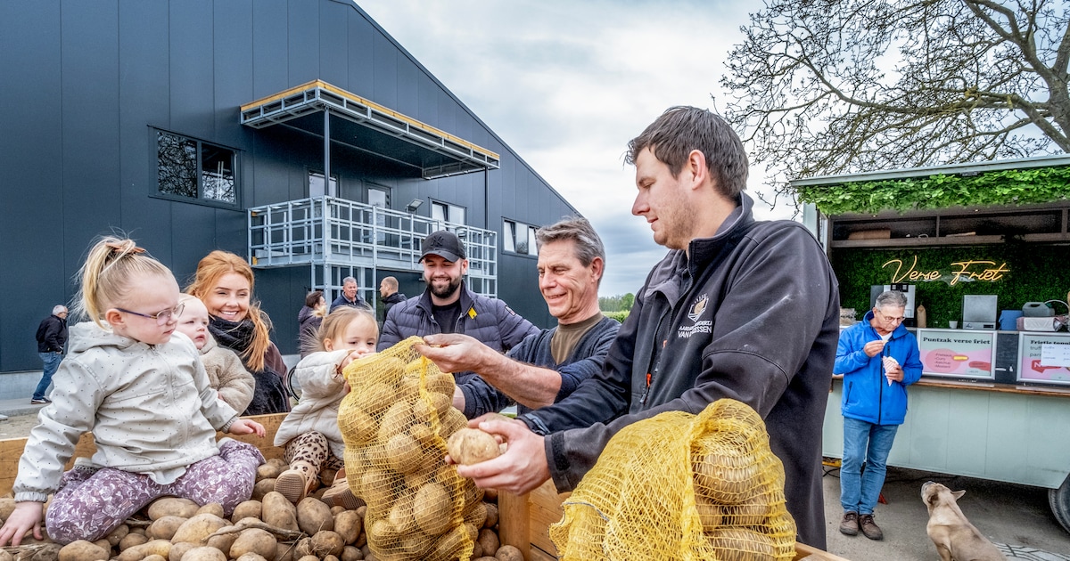 Een patatje oorlog voor de goede zaak: boeren proberen aardappelberg van 500 miljoen kilo weg te wer