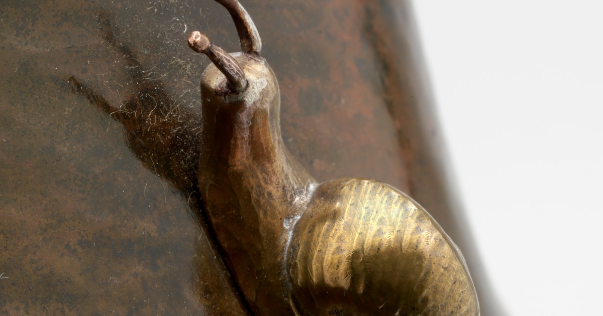 Welke dieren houden zich allemaal schuil in museum De Buitenplaats? Ze hebben nu een eigen tentoonst