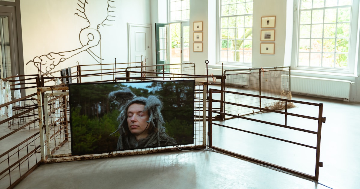 Wie is ‘de’ wolf? Op een expositie in Zutphen wordt het gesprek tussen wolf en mens opnieuw geopend