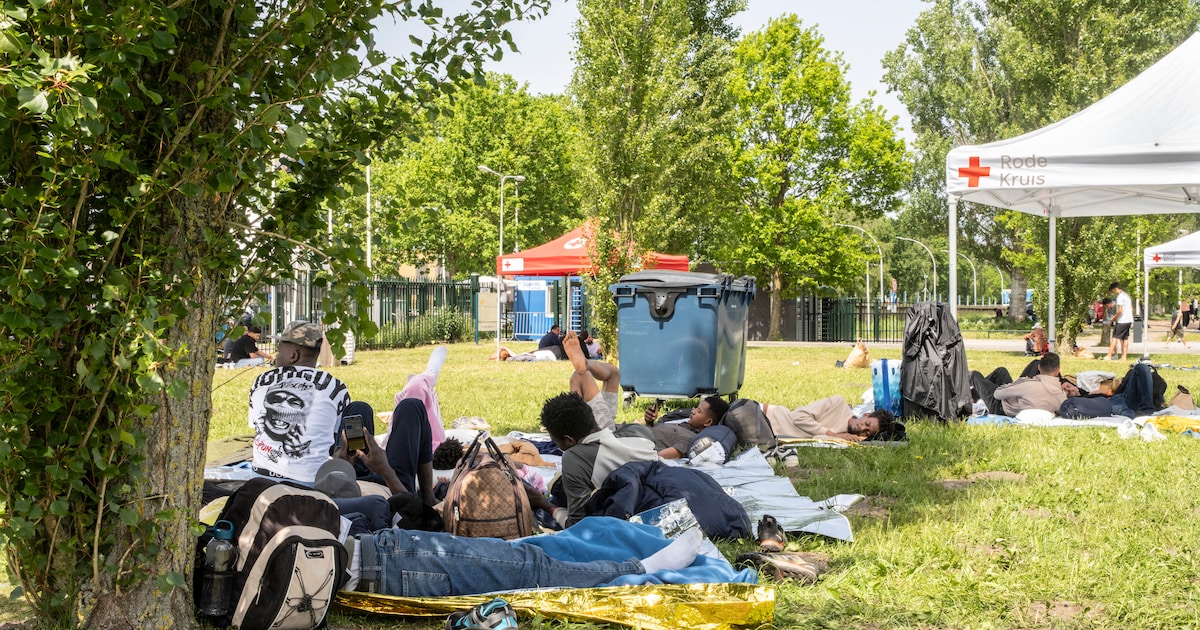 ‘Het is niet eerlijk om landelijke onmacht op het bordje van Ter Apel te leggen’