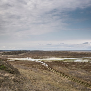 Gaat de Waddennatuur op slot? Rijkswaterstaat wil publiek we