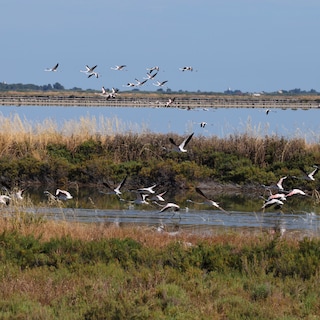 Albanië moet EU-regels voor natuurbeheer handhaven