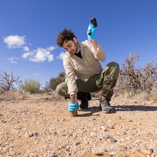 Onderzoekers maken eerste wereldkaart van schimmels: ‘Rekeni