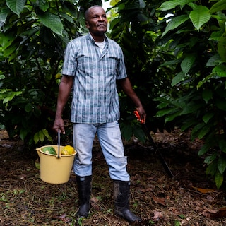 Net nu de Colombiaanse boer de coca verruilt voor cacao, dreigt de ‘mano dura’ van ultrarechts terug te keren