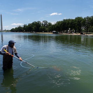 Trump beschuldigt ‘vandalen’ van problemen met Reflecting Pool, olympiër gearresteerd