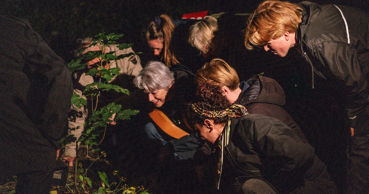 Bang voor het donker? Deze expeditie leert je waarom licht juist de echte boosdoener is