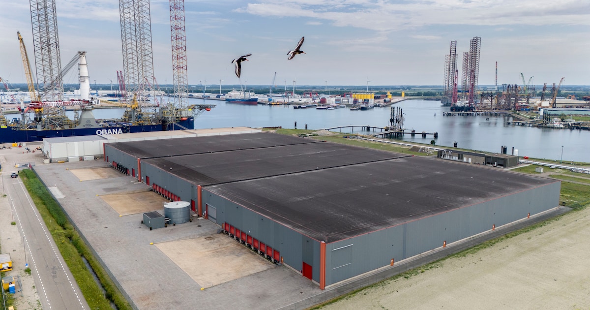 Tonnen cocaïne kwamen binnen via Vlissingen. Drie directeuren van een havenbedrijf ontkennen elke be