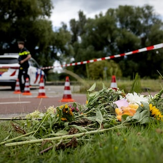 Verklaring OM voor zoektocht van agenten in politiesystemen na moord op Lisa voor rechter afdoende