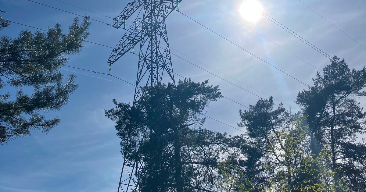 De hoogspanningsgasten hebben een uitnodiging gekregen om veilig in een hoogspanningsmast te klimmen