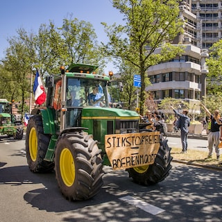 Dutch coalition continues without BBB after nitrogen debate fallout