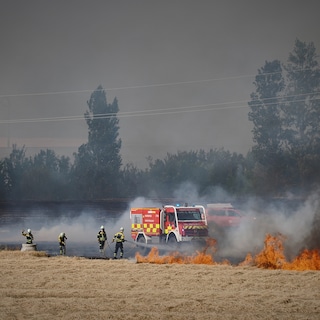 Twaalf doden door bosbranden in Zuid-Spanje; slachtoffers probeerden in hun auto te vluchten