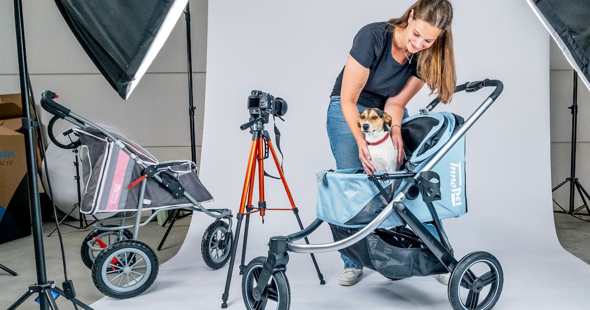 Dit familiebedrijf uit Nieuwegein levert al bijna twintig jaar buggy’s voor viervoeters