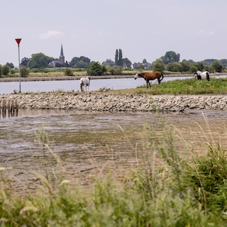 Nederland heeft nu officieel een tekort aan water: maatregelen nodig