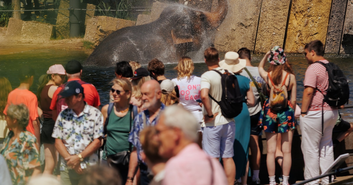 Hoe de oudste dierentuin van Nederland uitgroeide tot een proef- en pronktuin voor vernieuwende arch